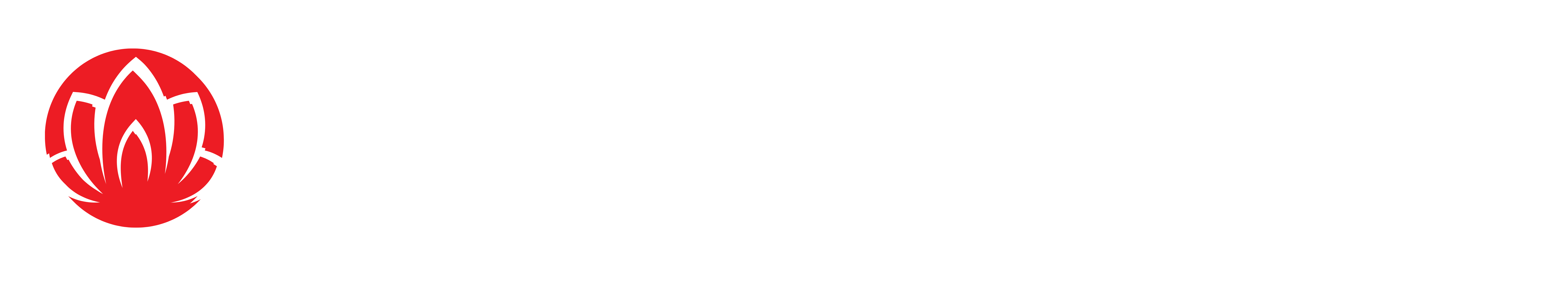 Zen Japanese Massage